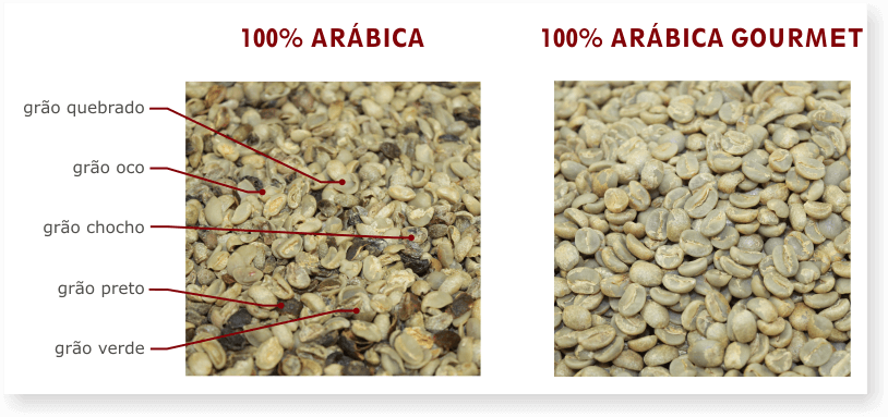 Cafe Favorito - Você sabe por que o nosso Café é 100% Arábica? 😉 Para quem  não sabe, o Café Arábica e o Conilon são espécies diferentes, se  diferenciando principalmente em seu