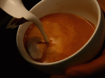 fatos sobre cappuccino