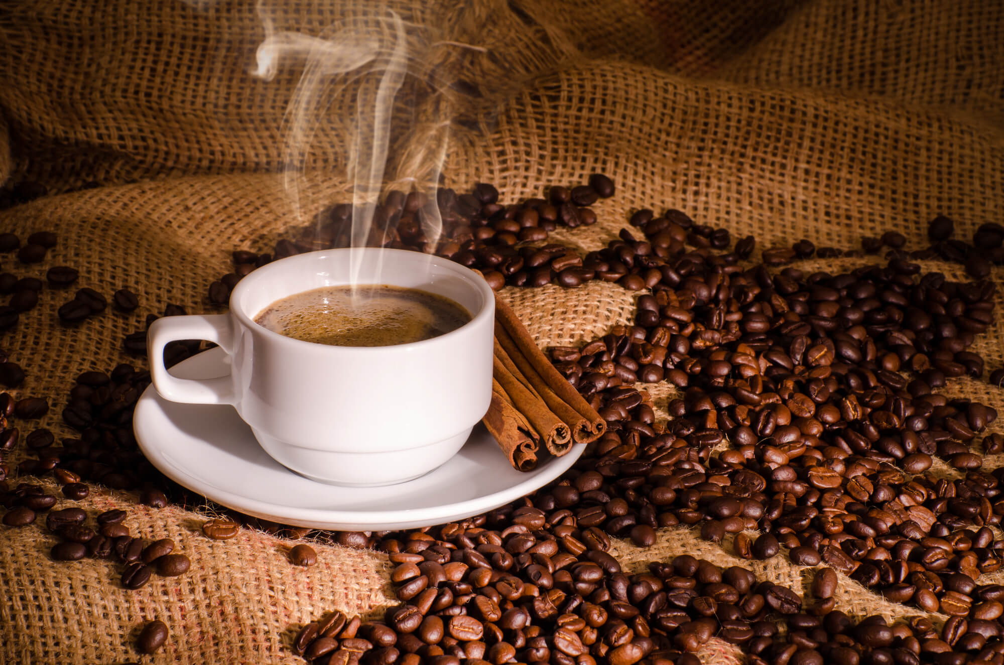 Como escolher os melhores fornecedores de café para a sua