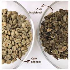 No Pé do Café: Veja as diferenças entre o café Conilon e o Arábica - tudoep
